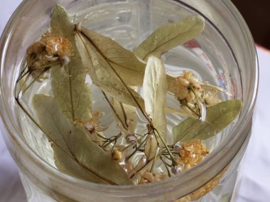 Büyük bir bardak ıhlamur çayı. Linden çiçeği çay yaprakları. İlaçlı ıhlamur çözeltisi.