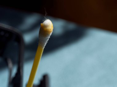 Pamuklu çubukta kulak kiri, makro fotoğraf. Kulak kiri ya da serumen (İngilizce: 