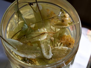 Büyük bir bardak ıhlamur çayı. Linden çiçeği çay yaprakları. İlaçlı ıhlamur çözeltisi.