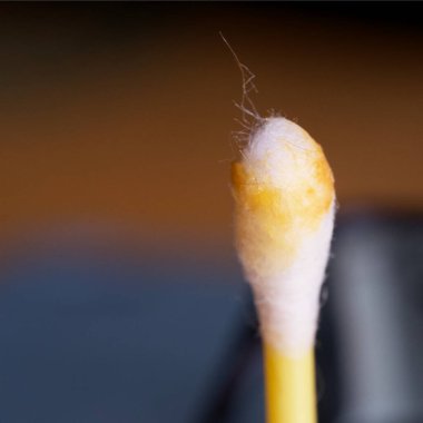 Pamuklu çubukta kulak kiri, makro fotoğraf. Kulak kiri ya da serumen (İngilizce: 