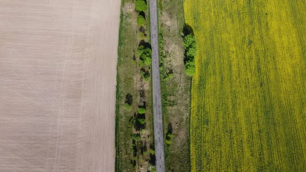 Gammal Väg Skiljer Två Åkrar Från Varandra Flygutsikt Blånat Fält — Stockfoto