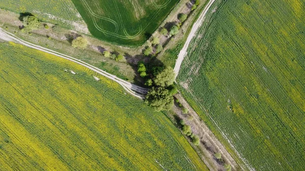 Feldweg Entlang Des Verlassenen Meliorationskanals Landwirtschaftliche Flächen Luftaufnahme — Stockfoto