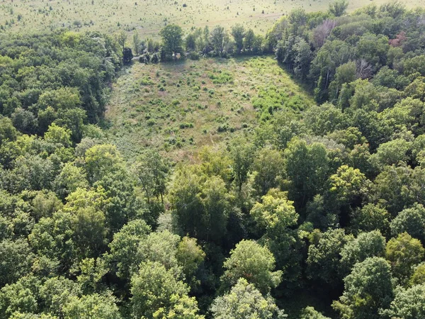 森の中で木を伐採する場所 クリアします 森林のクリアリング 風景の空中ビュー 伐採林地 — ストック写真