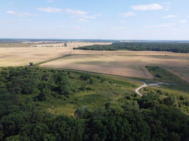 Bir tarlanın yanındaki yeşil yaprak döken orman. Kuş bakışı manzaralı bir yer. Güneşli hava.