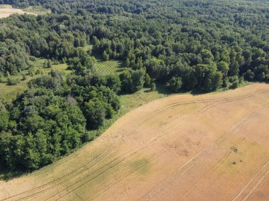 Yeşil bir ormanın yanında büyük bir çiftlik alanı, hava manzaralı. Manzara.