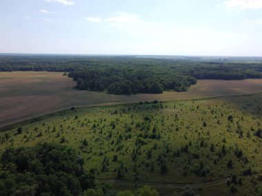 Bir tarlanın yanındaki yeşil yaprak döken orman. Kuş bakışı manzaralı bir yer. Güneşli hava.