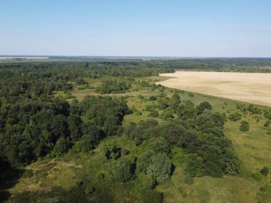 Bir tarlanın yanındaki yeşil yaprak döken orman. Kuş bakışı manzaralı bir yer. Güneşli hava.