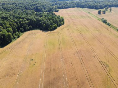 Yeşil bir ormanın yanında büyük bir çiftlik alanı, hava manzaralı. Manzara.