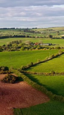 Batı Cork, İrlanda 'da güneşli bir günde yuvarlanan yeşil tarlaların ve tarım arazilerinin havadan görünüşü.