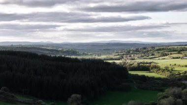 yemyeşil alanlar ufka kadar uzanıyor.