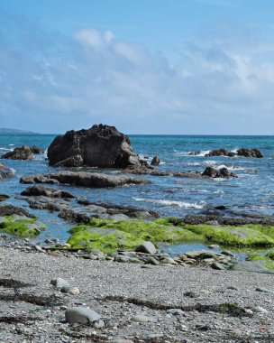 Coastal landscape featuring vibrant green moss and clear water.