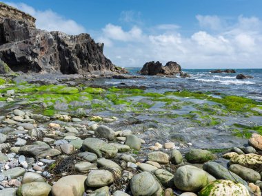 Ocean waves washing against green mossy rocks.