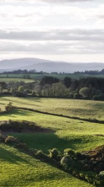 Sabahın erken saatlerinde İrlanda 'nın West Cork kırsalının yeşil tarlaları ve yuvarlanan tepeleri.