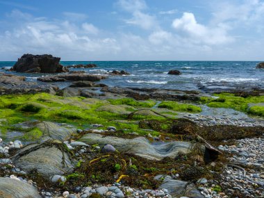 Parlak bir günde kayalık bir plajın manzarası.
