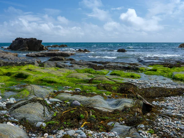 Parlak bir günde kayalık bir plajın manzarası.