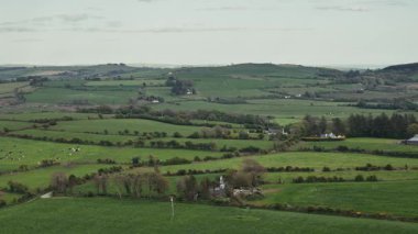 Yuvarlak yeşil tepeleri ve evleri olan huzurlu İrlanda kırsalını izleyin. İnekler sessiz bir sabahta Batı Cork 'un uzak tarlalarında otlarlar..