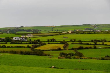 Batı Cork 'taki yeşil tarlalar ve çiftlikler, parlak bir gökyüzünün altındaki İrlanda, kayan tepeleri gösteriyor.