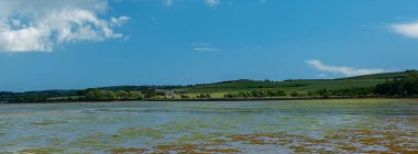 A peaceful scene of nature's beauty unfolds.