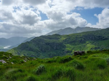 Dunloe Gap, Kerry, İrlanda 'daki dağların ve bitkilerin güzel bir manzarası var..