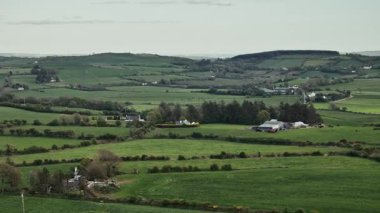 Morning in West Cork, Ireland rolling green hills and grazing cows under a cloudy sky.