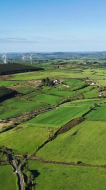 İrlanda 'da kayan yeşil alanların manzarası, kırsal kesimde enerji üreten rüzgar türbinleri..