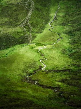 İrlanda 'da kıvrılan patikalar ve dereler.