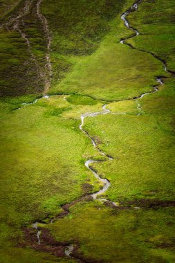 Dağlık arazideki yemyeşil çayırlarda yılan deresi esiyor..