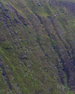 Yeşil bitki örtüsüyle kaplı dik, kayalık bir dağ yamacına yakın çekim. Vahşi ve el değmemiş doğa.