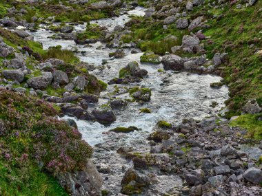 Temiz su kayalık bir dere yatağından hızla akar. Yosun kayaları kaplıyor, ve fundalık yakınlarda çiçek açıyor, engebeli araziye renk katıyor..