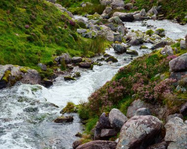Ulusal Park 'taki yosunlu kayalar ve fundalıklarda dağ dereleri çağlıyor..