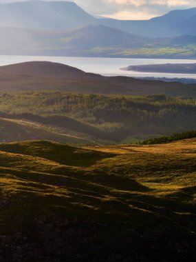 Manzaralı bir manzara, Castlemaine Limanı 'na uzanan dalgalı tepeleri yansıtıyor. Sakin suların ardında yükselen uzak dağlar bulutlu bir akşam gökyüzünün altında.