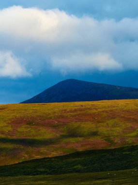 Koyu mavi bir dağ zirvesi bulutlu bir gökyüzüne karşı dik duruyor. Aşağıdaki yuvarlanan tepeler altın yeşili ve kırmızımsı kahverengi bitki örtüsüyle kaplı, manzaranın canlı renklerini gösteriyor..