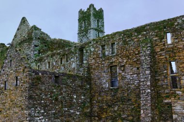Timoleague, İrlanda, 25 Kasım 2023. Antik Manastır harabelerinin detaylı manzarası. Birden fazla pencere açıklığı olan taş duvarlar ve gri gökyüzünün altında yeşil yosunlarla kaplı uzun kare bir kule..