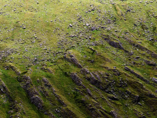 Engebeli bir dağ yamacı yoğun biçimde canlı yeşil otlar ve sayısız gri kayalarla kaplıdır. Gün ışığında yıkanan bu doğal manzara, evcilleştirilmemiş bir çevreyi gözler önüne sererek, sarp ve dokulu görünür..