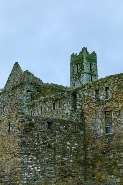 Timoleague, İrlanda, 25 Kasım 2023. Timoleague Keşişi. Tarihi İrlanda manastırı. Yaşlanmış, terk edilmiş bir taş manastırın dışı. İrlanda tarihi kalıntıları.