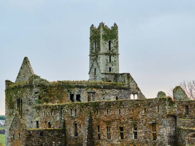 Timoleague, İrlanda, 25 Kasım 2023. Timoleague Keşişi. Antik taş manastır harabeleri. Tarihi İrlanda manastırı bakımsız bir halde. Eski taş yapısı doğal elementler tarafından ele geçirilmiş..