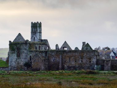 Timoleague, İrlanda, 25 Kasım 2023. Bulutlu bir günde İrlanda 'daki çimenli tarlalardan yükselen merkezi kulesi olan Abbey' in eski taş kalıntıları. Antik manastır duvarları yosunla kaplıdır..