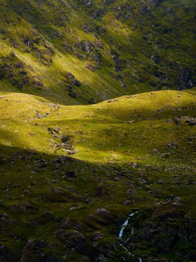 Dalgalanan arazi, açılı güneş ışığı altında parıldar. Yeşil ve sarı renkleri açıkta kalan taşlarla harmanlarlar..