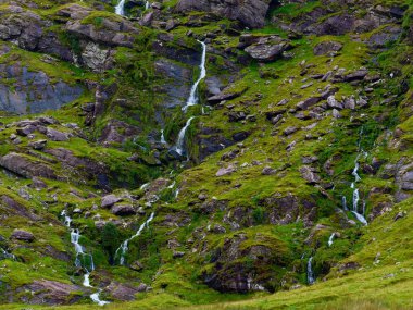 Çoklu ince şelaleler yemyeşil yosun kaplı bir dağın yosunlu yamaçlarına dökülüyor. Aydınlık bir günde, su canlı bitki örtüsüne ve karanlık kaya oluşumlarına karşı gümüşi çizgiler oluşturur..