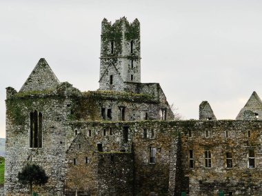 Timoleague Keşişi. Tarihi İrlanda manastırı. Yaşlanmış, terk edilmiş bir taş manastırın dışı. Eski binanın gözle görülür çürümüş görüntüsü.