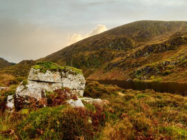 Büyük bir yosun kaplı kaya, vahşi bir bozkırın ön planında yer alır. Arkasında, bulutlu gökyüzünü yansıtan karanlık bir göl var..