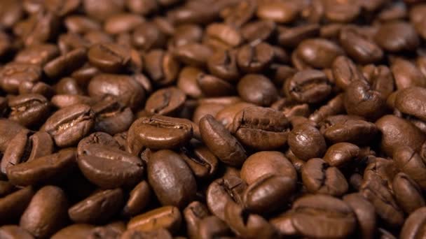 Arabica Kaffeebohnen Makroschuss Reiche Textur — Stockvideo