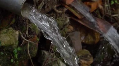 Ormandaki plastik bir borudan drenaj suyu akar. Çevre kirliliği kavramı. Seçici odak