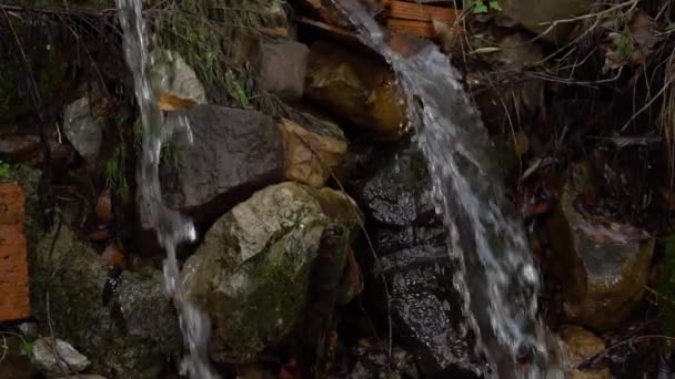 Closeup Stream Spring Water Flows Background Wet Stones Mountain Forest — Stock Video