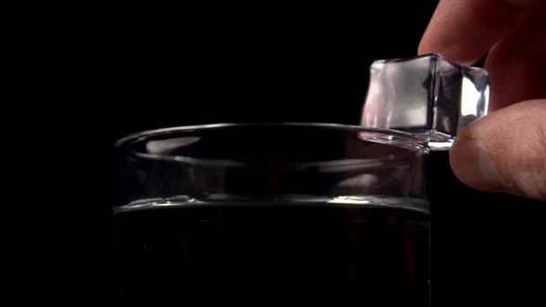 Mão Barman Empurra Cubo Gelo Copo Com Álcool Água Borda — Vídeo de Stock
