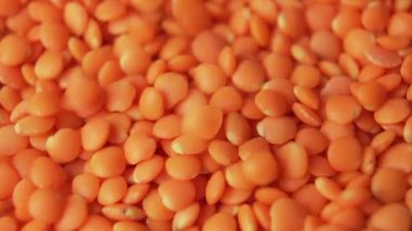 Pişmemiş çiğ mercimek makro shot. Düşüş. Soyulmuş baklagiller. Döndürme. Yavaş çekim