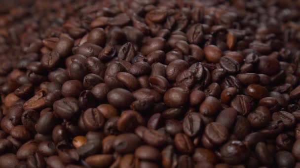 Kaffeebohnen Mischung Kaffee Fällt Arabica Und Robusta Mischen Sich Zeitlupe — Stockvideo