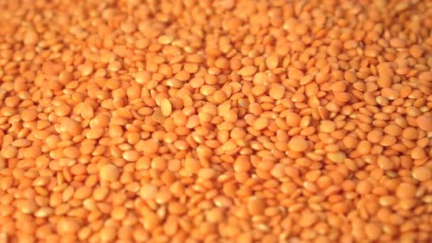 Biji Lentil Yang Dikupas Jatuh Dengan Rotasi Close Keluarga Legume — Stok Video