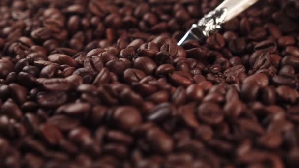 Geröstete Kaffeebohnen Mit Einem Metalllöffel Umrühren Aus Nächster Nähe Zeitlupe — Stockvideo