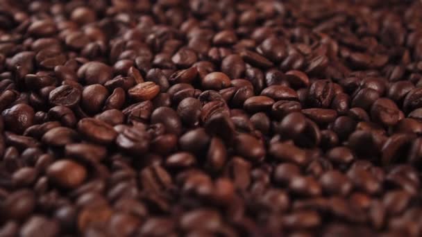 Kaffeebohnen Nahaufnahme Rotation Und Fall Dunkle Samen Für Ein Aromatisches — Stockvideo